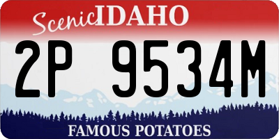 ID license plate 2P9534M