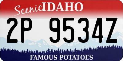 ID license plate 2P9534Z