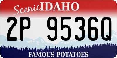 ID license plate 2P9536Q