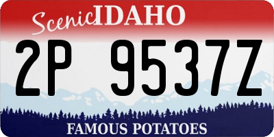 ID license plate 2P9537Z