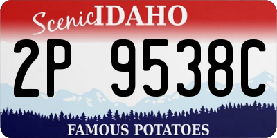ID license plate 2P9538C