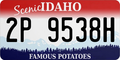 ID license plate 2P9538H