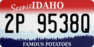 ID license plate 2P9538Q