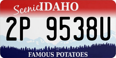 ID license plate 2P9538U