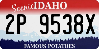 ID license plate 2P9538X
