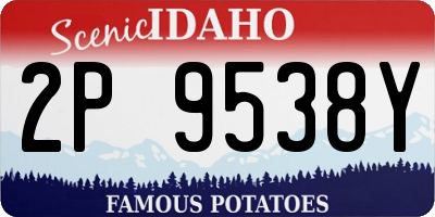 ID license plate 2P9538Y