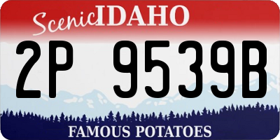ID license plate 2P9539B