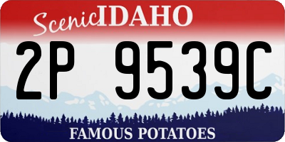 ID license plate 2P9539C