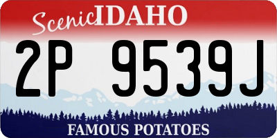 ID license plate 2P9539J