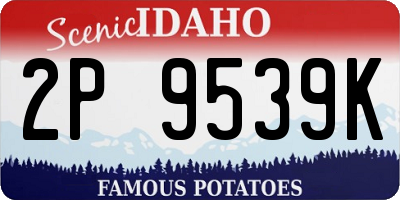 ID license plate 2P9539K