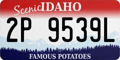 ID license plate 2P9539L