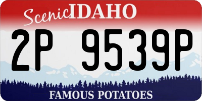 ID license plate 2P9539P
