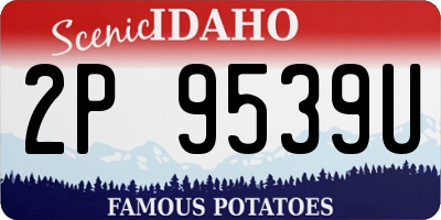 ID license plate 2P9539U