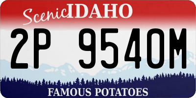 ID license plate 2P9540M