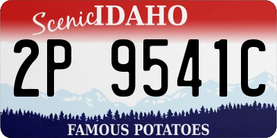 ID license plate 2P9541C