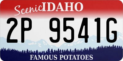 ID license plate 2P9541G