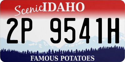 ID license plate 2P9541H