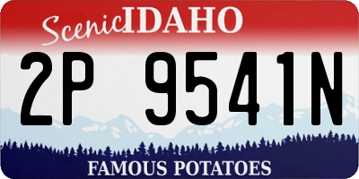 ID license plate 2P9541N