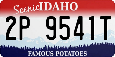 ID license plate 2P9541T