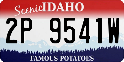 ID license plate 2P9541W