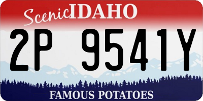 ID license plate 2P9541Y