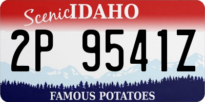 ID license plate 2P9541Z