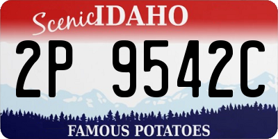 ID license plate 2P9542C