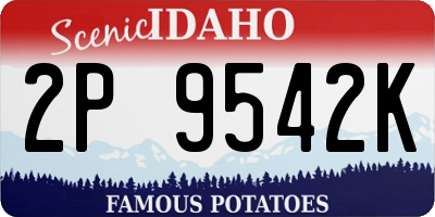 ID license plate 2P9542K
