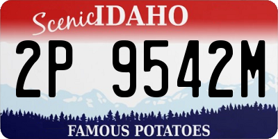 ID license plate 2P9542M