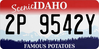 ID license plate 2P9542Y