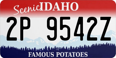ID license plate 2P9542Z