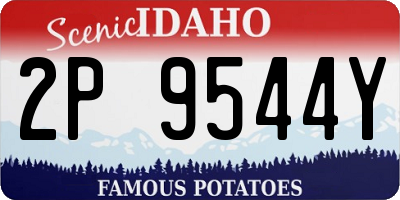 ID license plate 2P9544Y