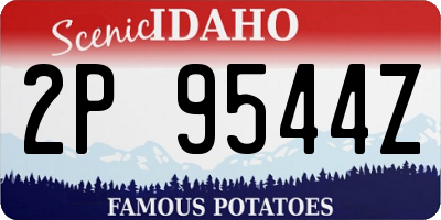 ID license plate 2P9544Z