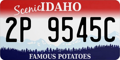ID license plate 2P9545C