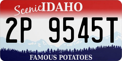 ID license plate 2P9545T
