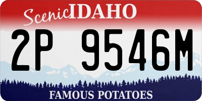 ID license plate 2P9546M