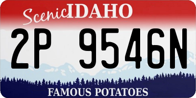 ID license plate 2P9546N