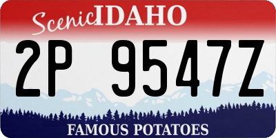 ID license plate 2P9547Z
