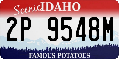 ID license plate 2P9548M