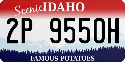 ID license plate 2P9550H
