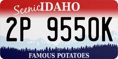 ID license plate 2P9550K