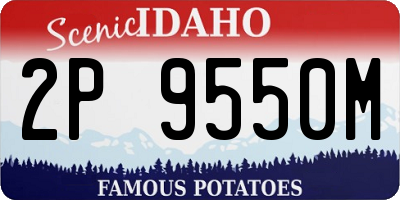 ID license plate 2P9550M
