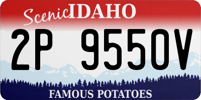 ID license plate 2P9550V