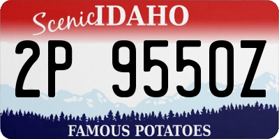 ID license plate 2P9550Z