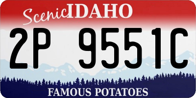 ID license plate 2P9551C
