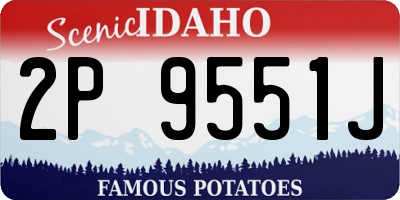 ID license plate 2P9551J
