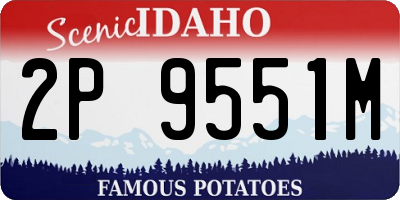 ID license plate 2P9551M
