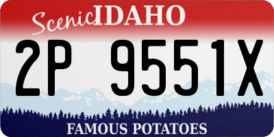 ID license plate 2P9551X