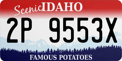 ID license plate 2P9553X