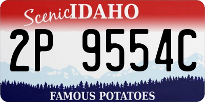 ID license plate 2P9554C
